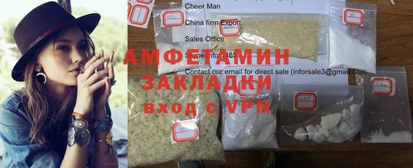сатива Узловая
