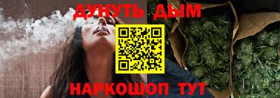 сатива Будённовск