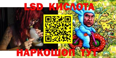 сатива Будённовск