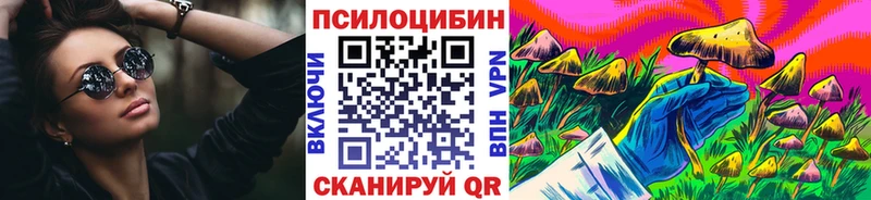 Псилоцибиновые грибы Cubensis  даркнет сайт  Павлово 