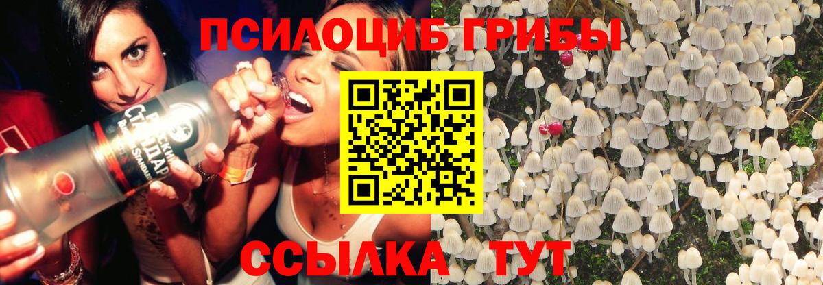 Псилоцибиновые грибы мухоморы Павлово