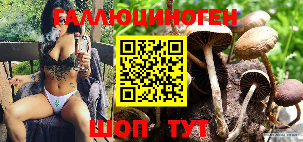 Галлюциногенные грибы ЛСД  Вход с VPN  Павлово  Галлюциногенные грибы MAGIC MUSHROOMS 